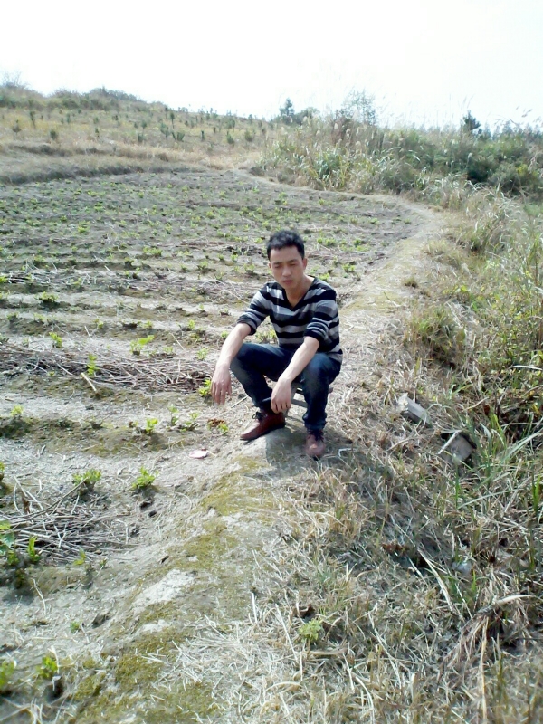 你好的第一张照片--合肥相亲服务中心