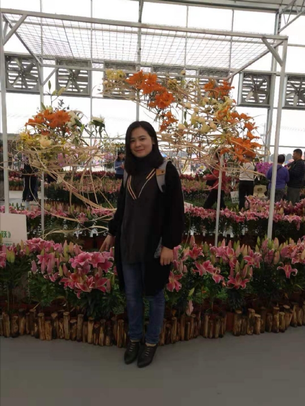 紫苏的第二张照片--合肥相亲服务中心