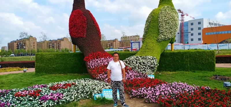 尘埃的第一张照片--合肥相亲服务中心