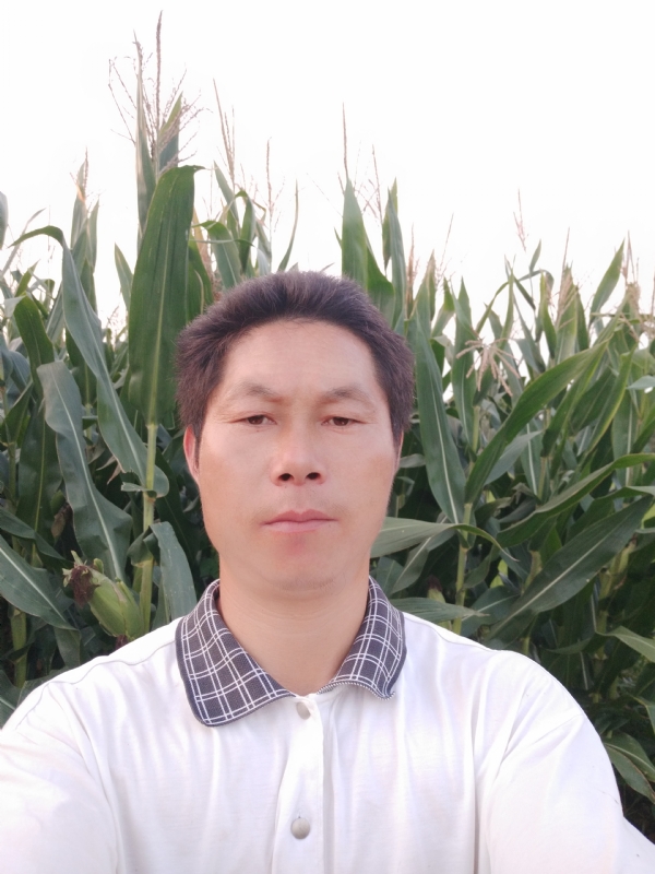 四海游龙的第一张照片--合肥相亲服务中心