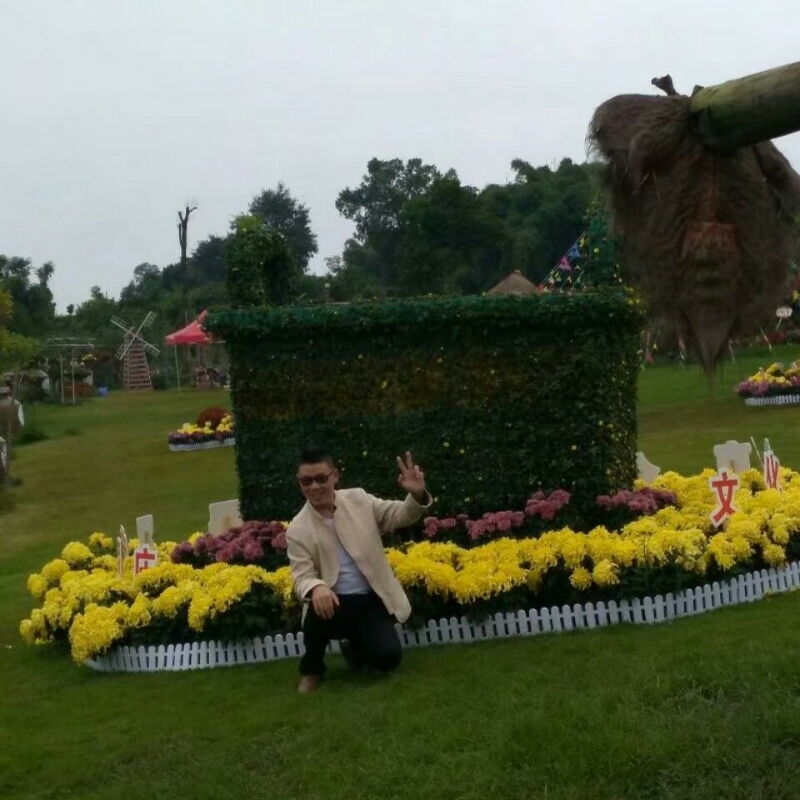 春风里^O^任徜徉的第一张照片--合肥相亲服务中心