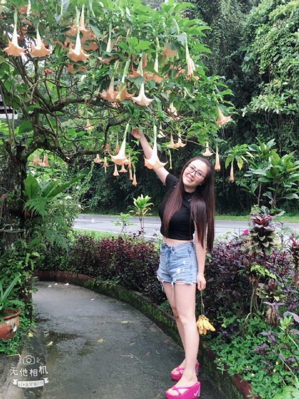 离异单身无子的第二张照片--合肥相亲服务中心