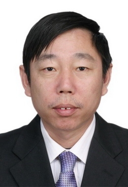 绿油油的榕树的第一张照片--合肥相亲服务中心