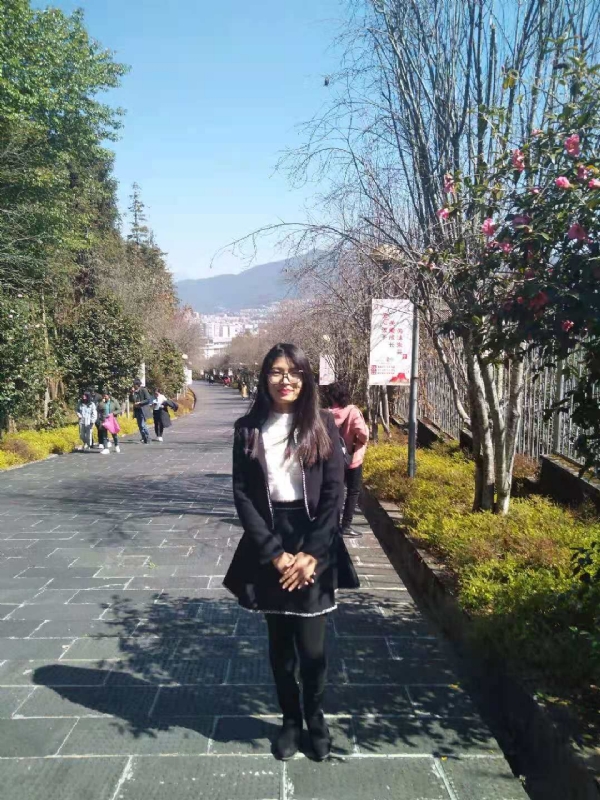 窗台上的桔梗的第一张照片--合肥相亲服务中心