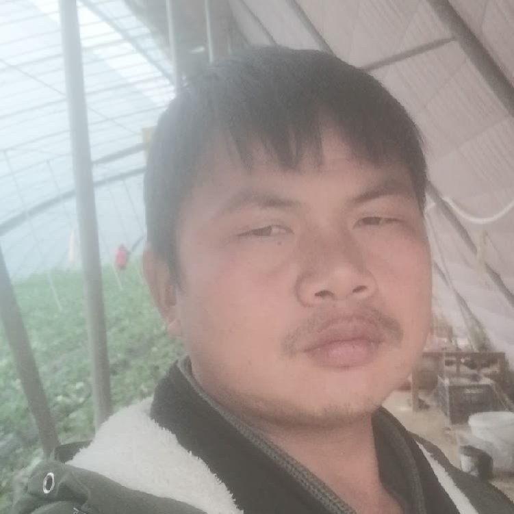 孤狼‘的第一张照片--合肥相亲服务中心