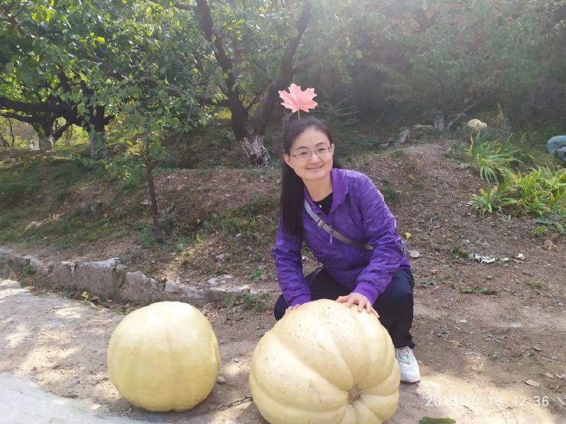 海绵宝宝的第一张照片--合肥相亲服务中心