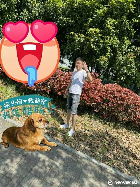 我若不坚强谁替我勇敢的第一张照片--合肥相亲服务中心