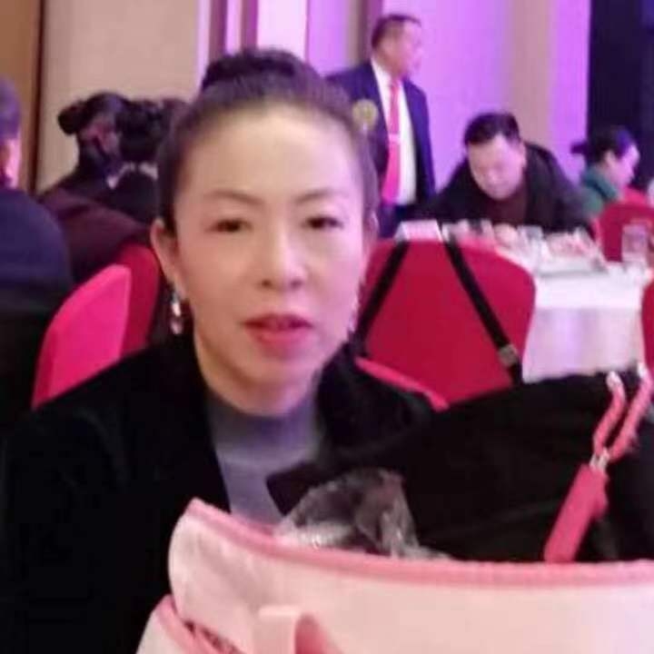 中秋桂花玉兔的第四张照片--合肥相亲服务中心