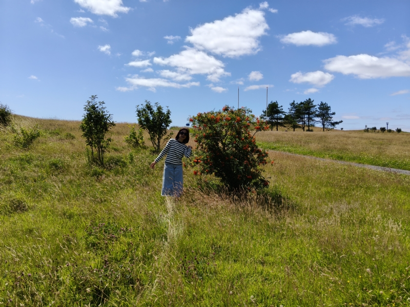 秋蝉的第一张照片--合肥相亲服务中心