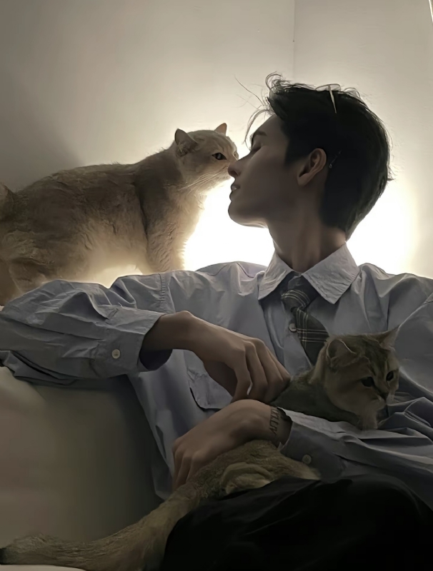 怪猫的第一张照片--合肥相亲服务中心