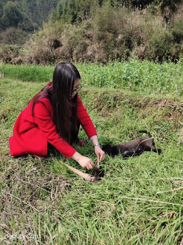 下一个春和秋的第一张照片--合肥相亲服务中心