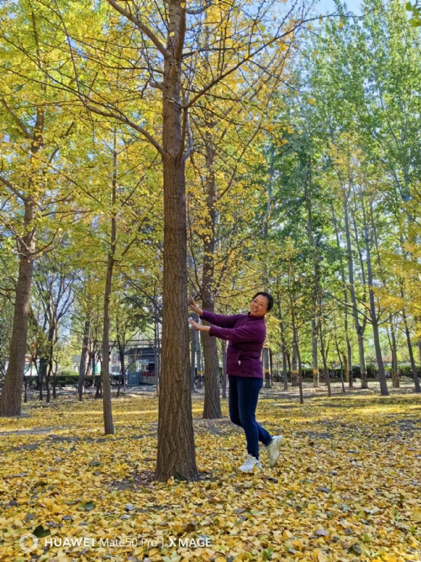 Shirley的第四张照片--合肥相亲服务中心