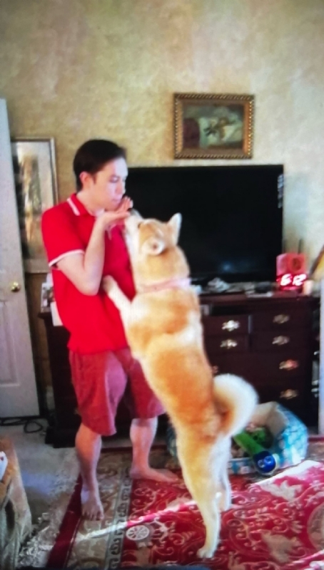 Leluch的第一张照片--合肥相亲服务中心