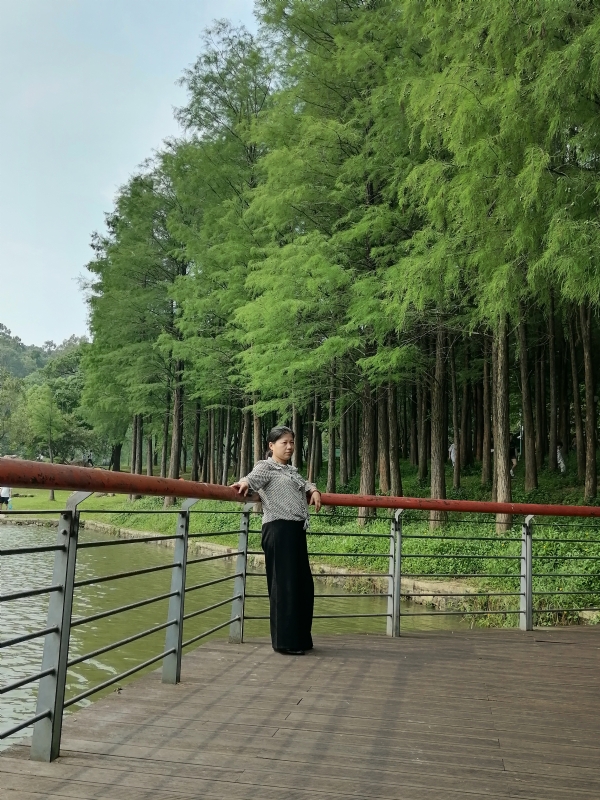 遗失的记忆的第二张照片--合肥相亲服务中心