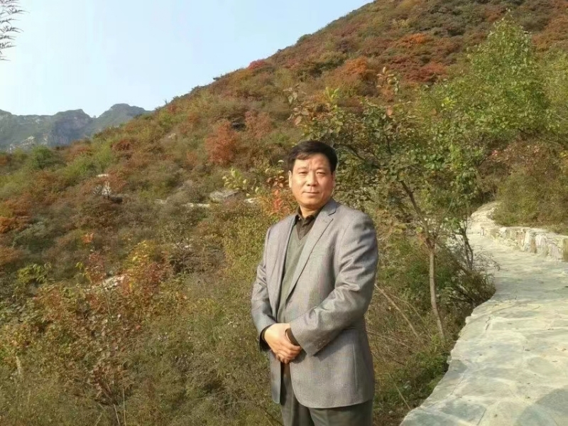 古树的第一张照片--合肥相亲服务中心