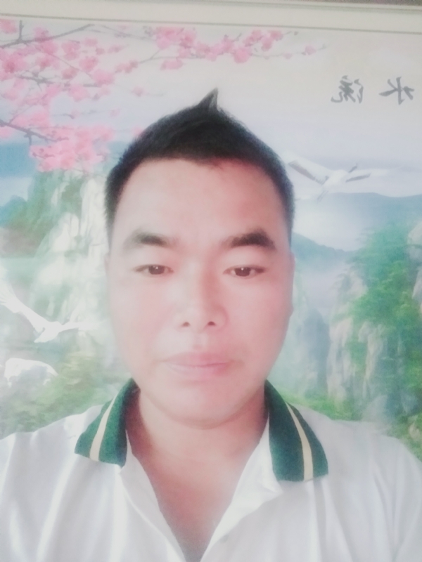 阳光男孩的第二张照片--合肥相亲服务中心