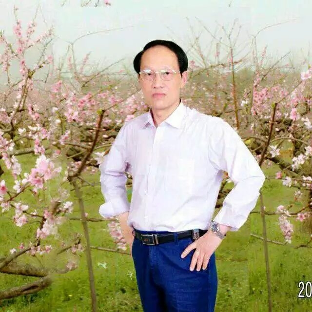 枫叶的第一张照片--合肥相亲服务中心