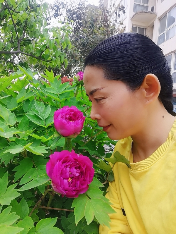 厚德载物的第一张照片--合肥相亲服务中心