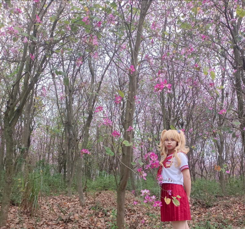 暮秋的第四张照片--合肥相亲服务中心