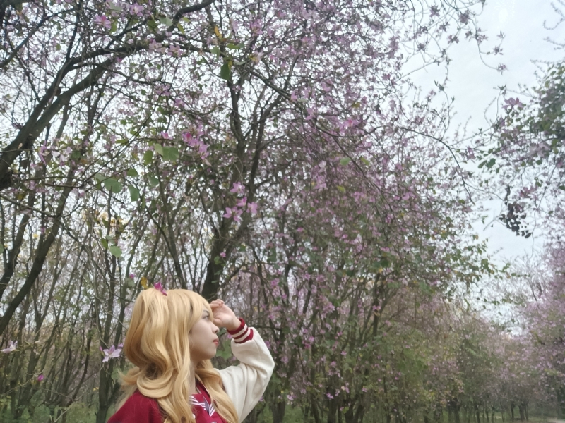 暮秋的第五张照片--合肥相亲服务中心