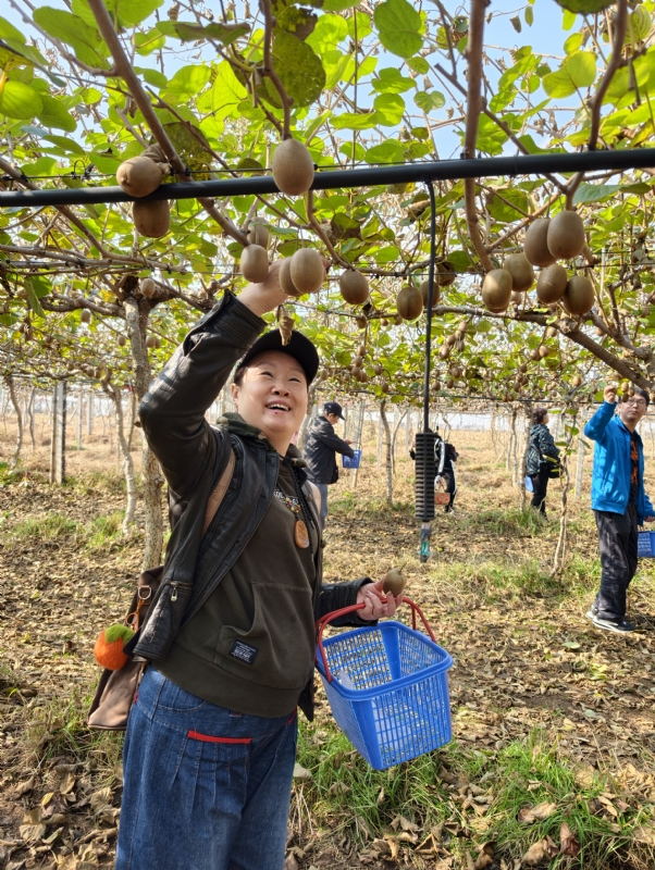 夜莺的第三张照片--合肥相亲服务中心